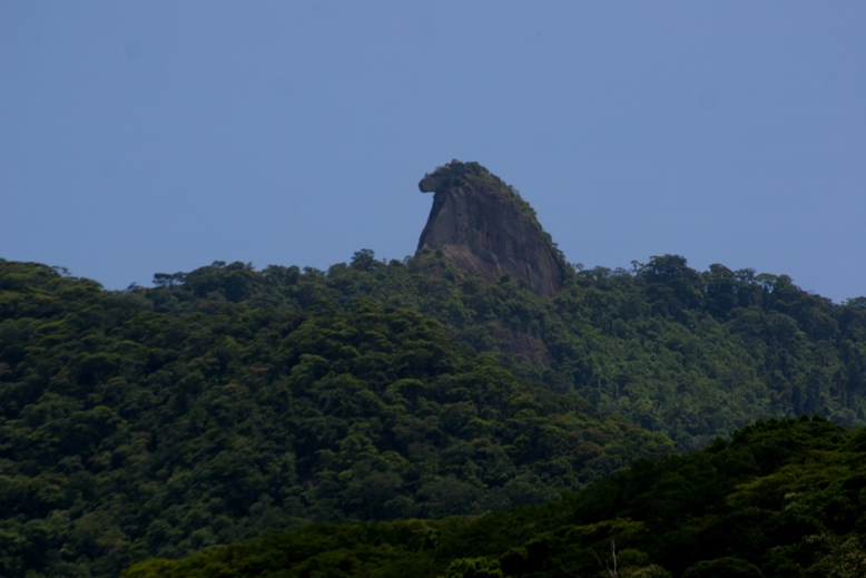Trilha visita ao Bico do Papagaio